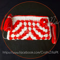 Small Crochet Clutch